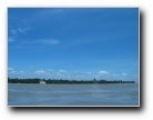 [Click to enlarge]